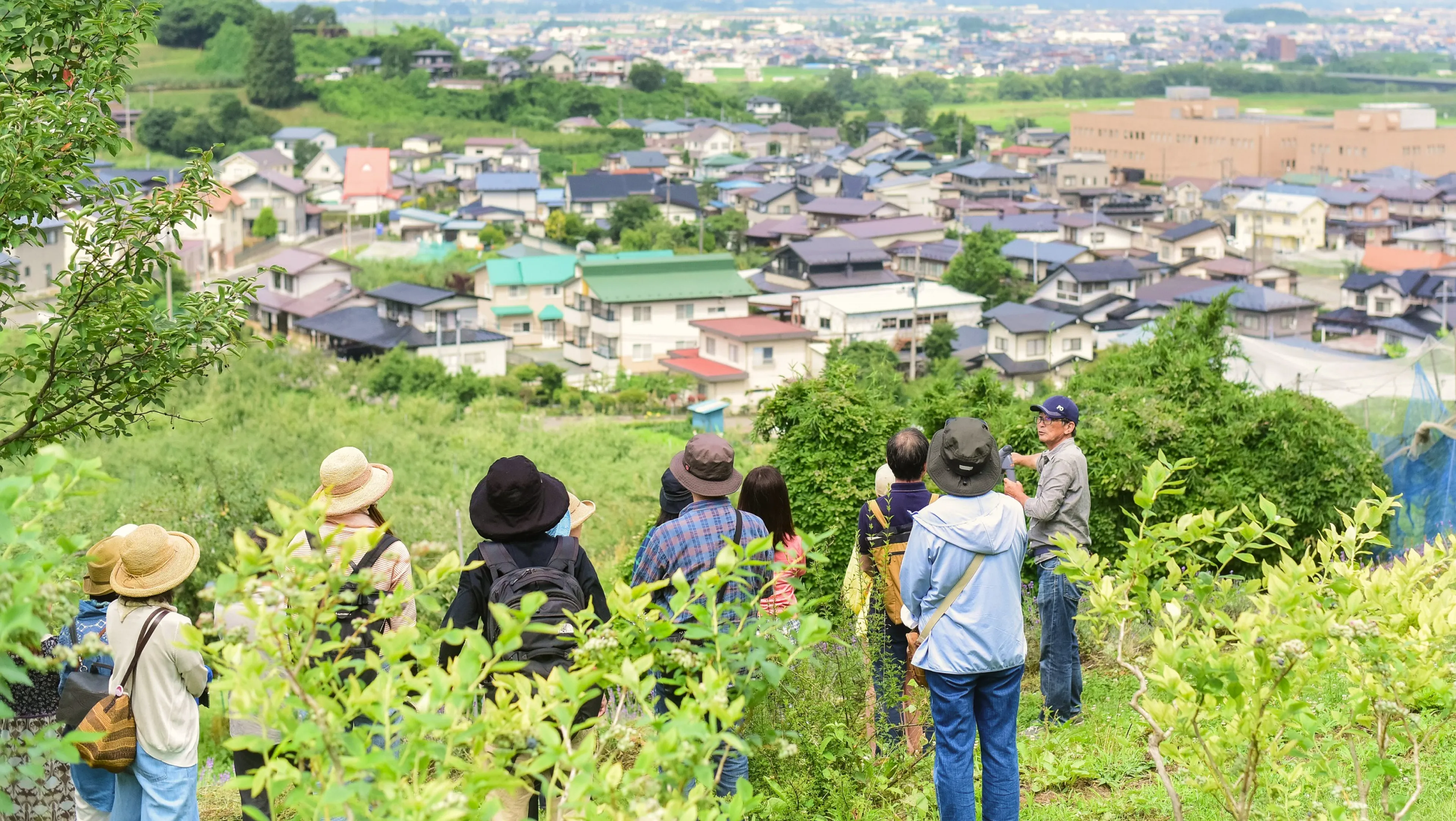 緑豊かな丘の上で、ガイドの説明を聞くハイキンググループ。背景には住宅街が広がる。