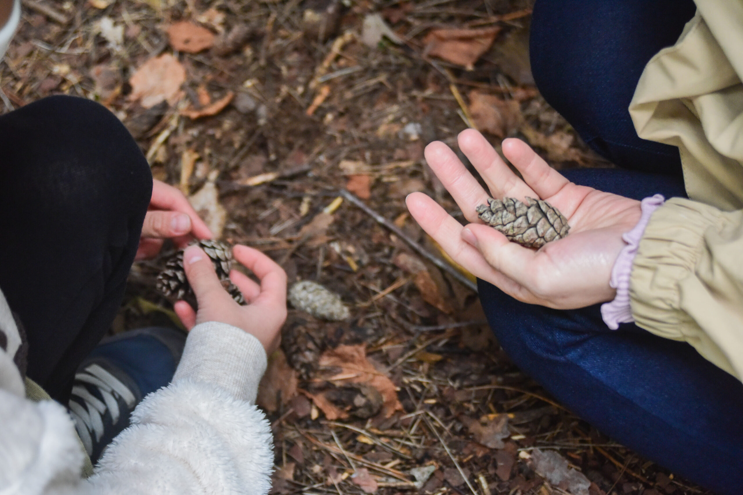 (一財）都南自治振興公社　都南つどいの森