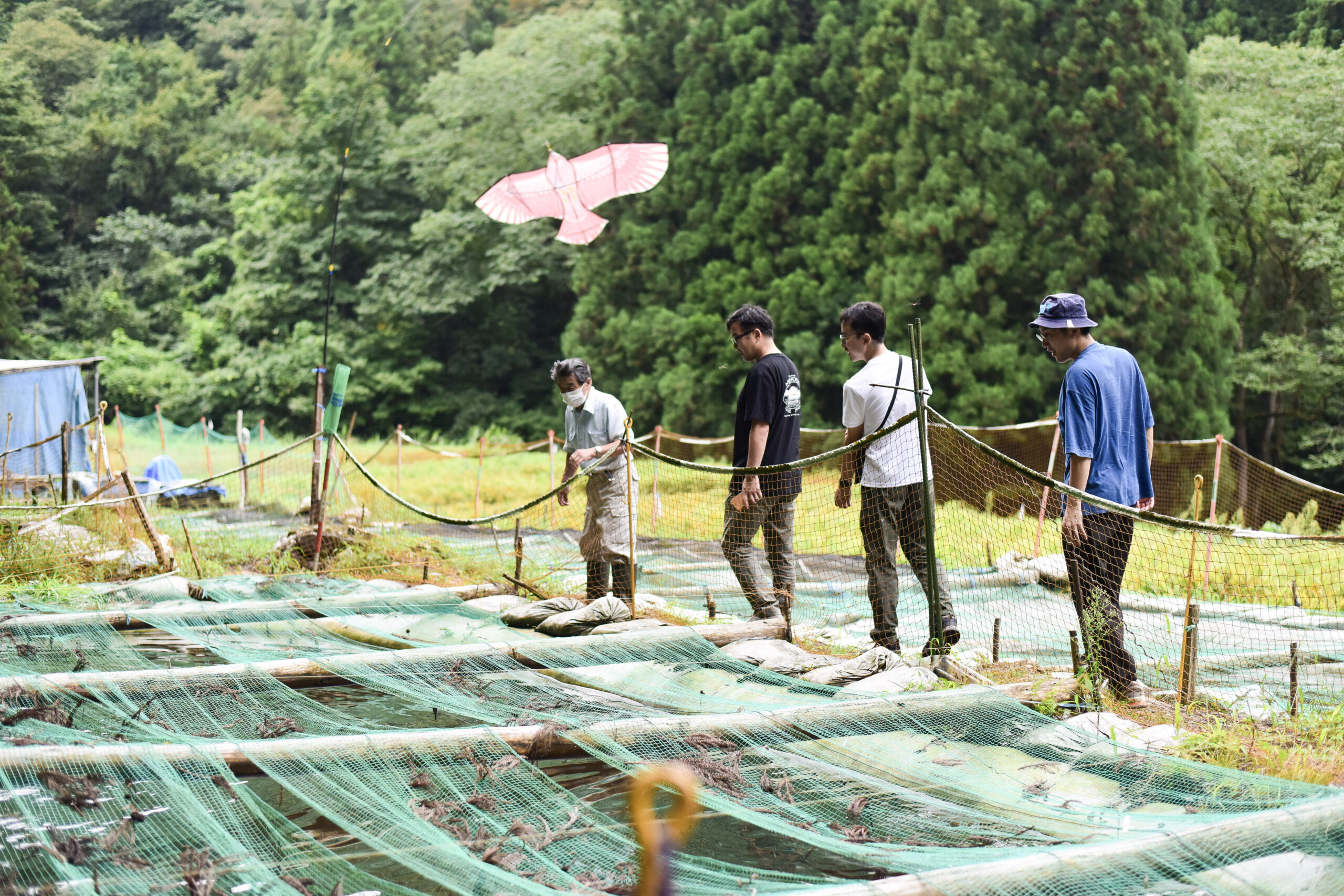 金山の里養魚場