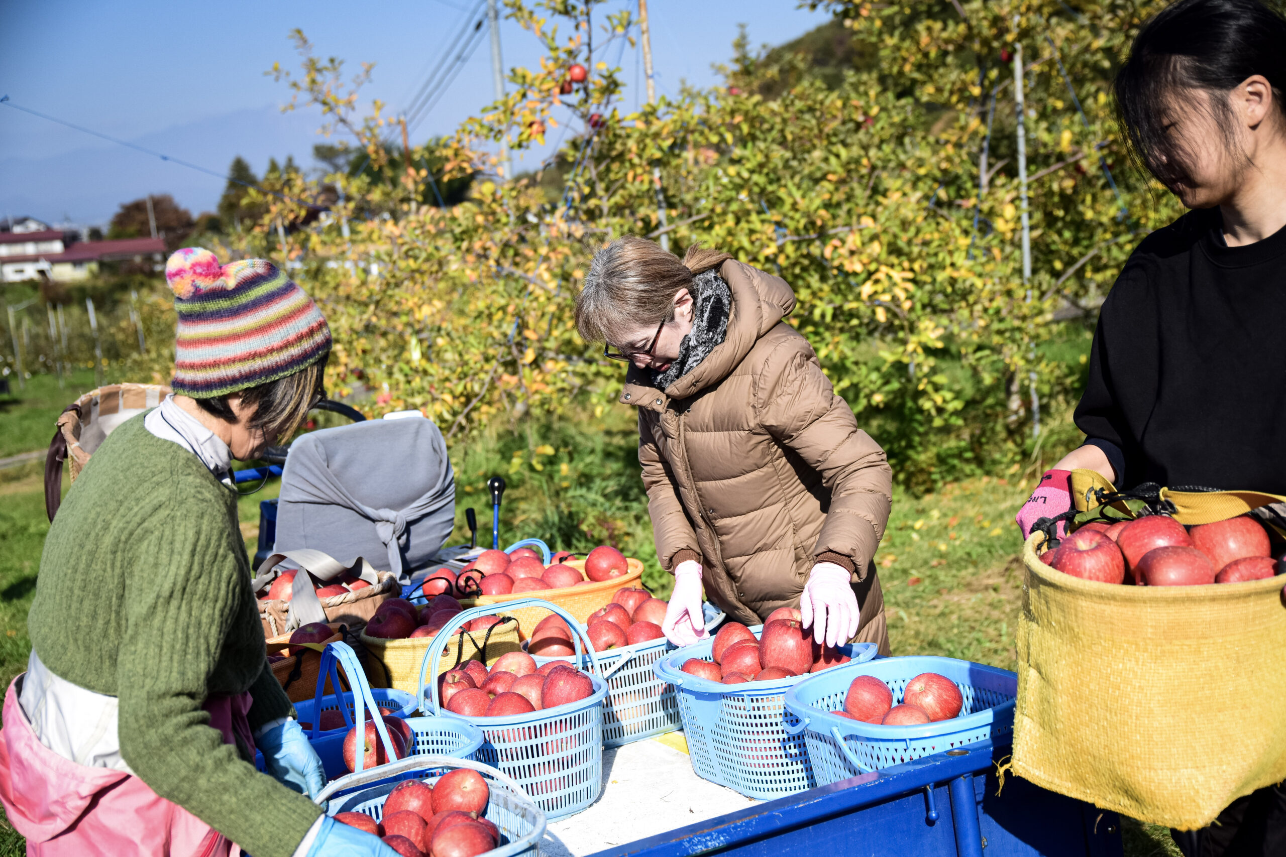 りんご工房きただ