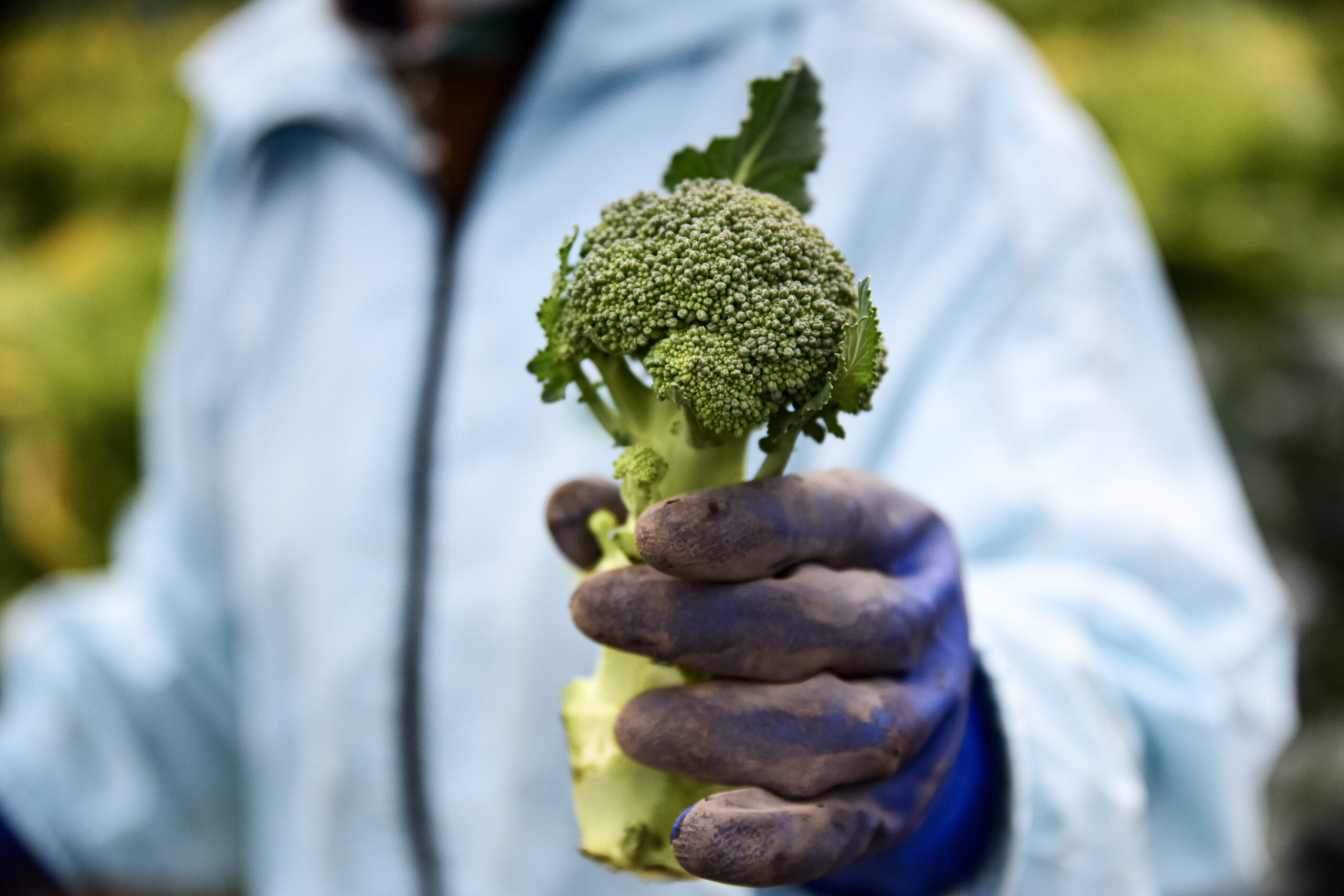 農事組合法人となん