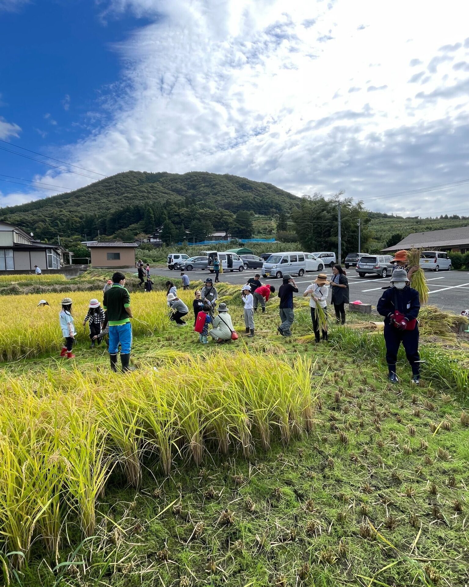 ゆる田んぼプロジェクト：R7シーズンその２（稲刈り）