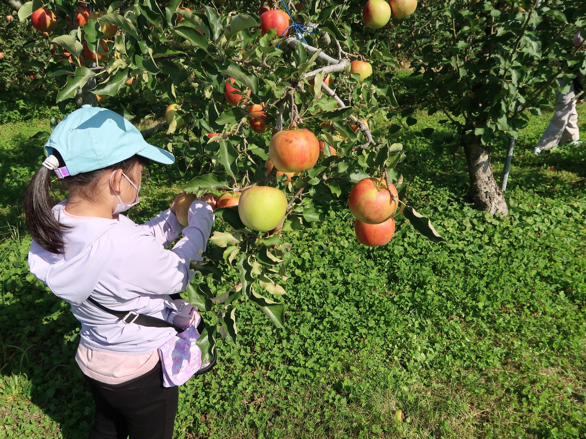 りんご工房きただ