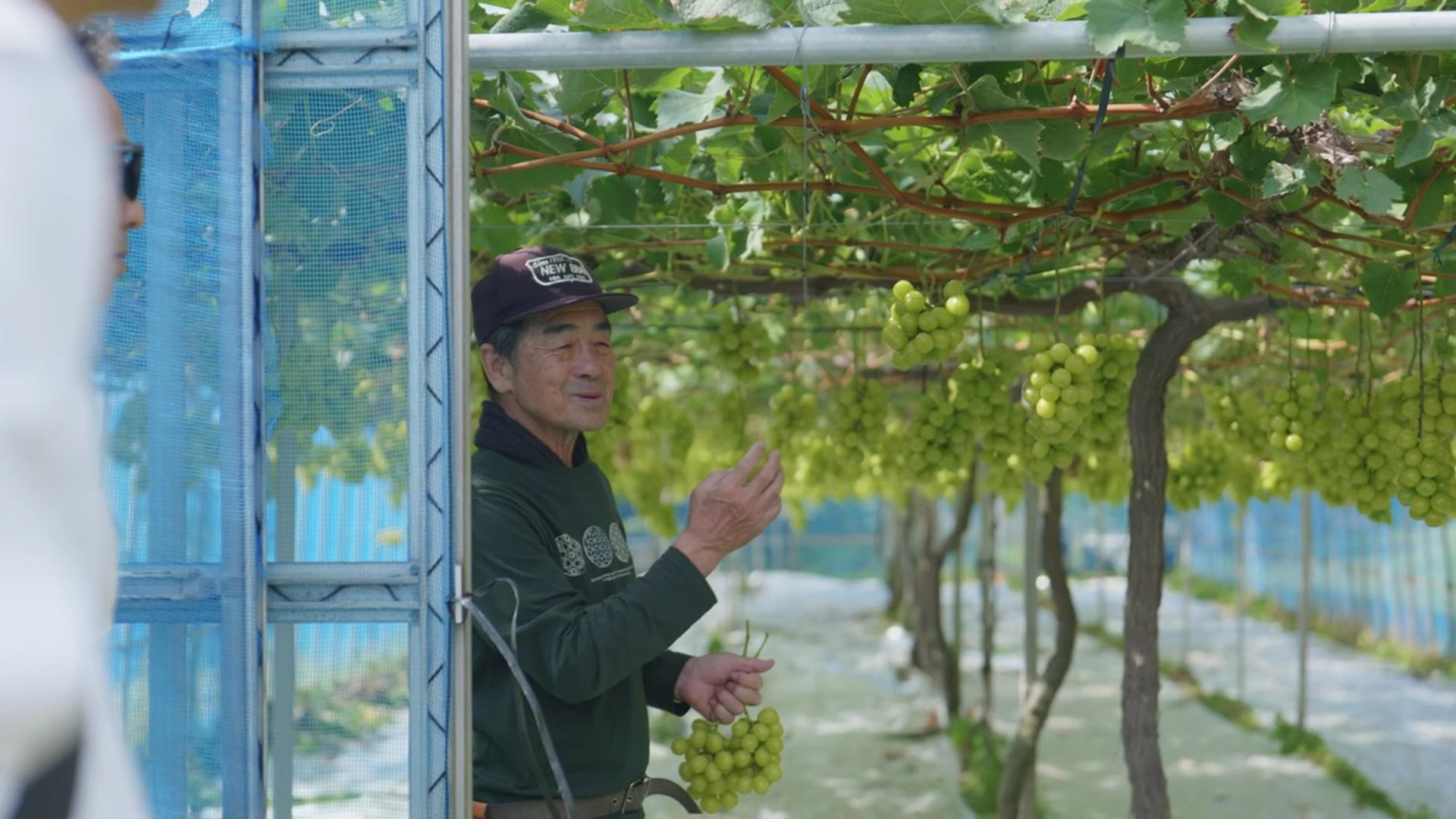 合同会社　田屋果樹園